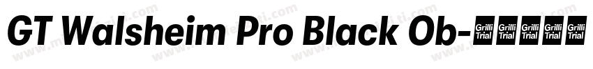 GT Walsheim Pro Black Ob字体转换